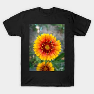 Beautiful Summer Flower T-Shirt